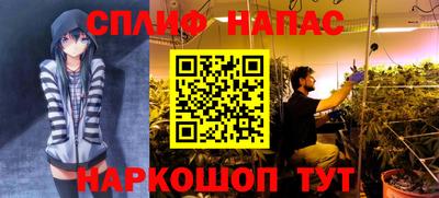 Альфа ПВП Лесосибирск
